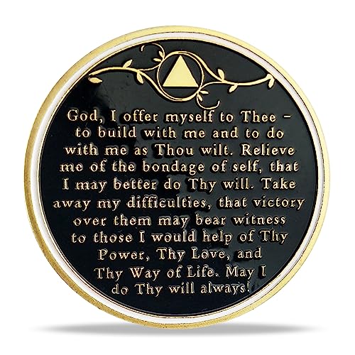 10-Year AA Sobriety Chip Tree of Life Medallion Gift